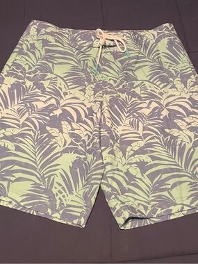 American Eagle Outfitters Tropical Leaf Board Shorts - Mint & Blue